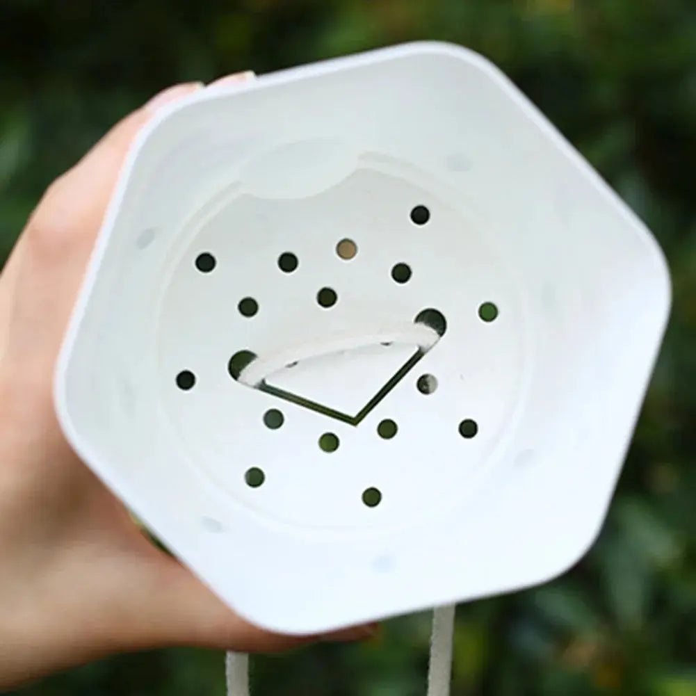 Transparent Self-Watering Plant Flower Pot Hexagonal Lazy Flowerpot Plastic Planters Home Garden Decoraction My Store