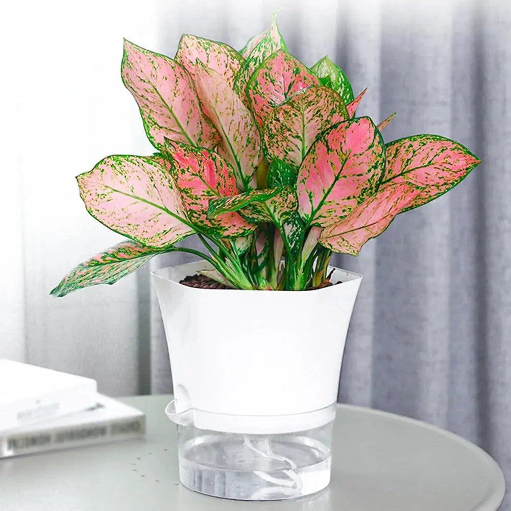 Transparent Self-Watering Plant Flower Pot Hexagonal Lazy Flowerpot Plastic Planters Home Garden Decoraction My Store
